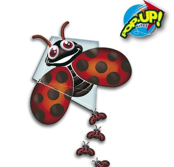 Rhombus Pop-Up Lady Bug Vlieger