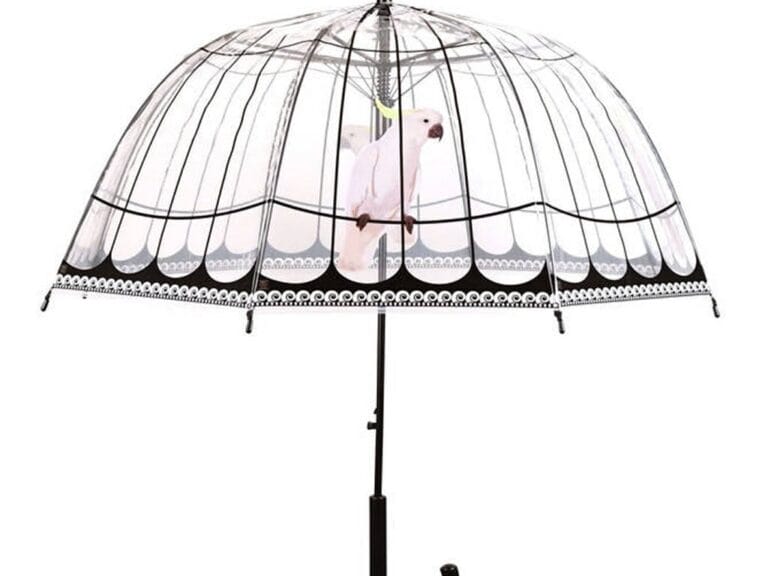 Esschert Design Paraplu Vogelkooi 81 cm Transparant/Zwart