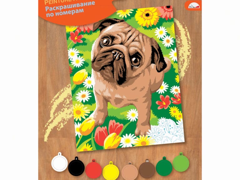 Schilderen Op Nummer Pug Dog