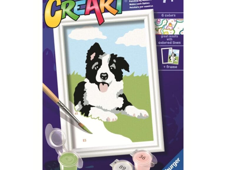 Ravensburger CreArt Schilderen op Nummer Border Collie