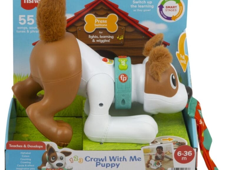 Fisher Price Crawl With Me Puppy + Licht en Geluid