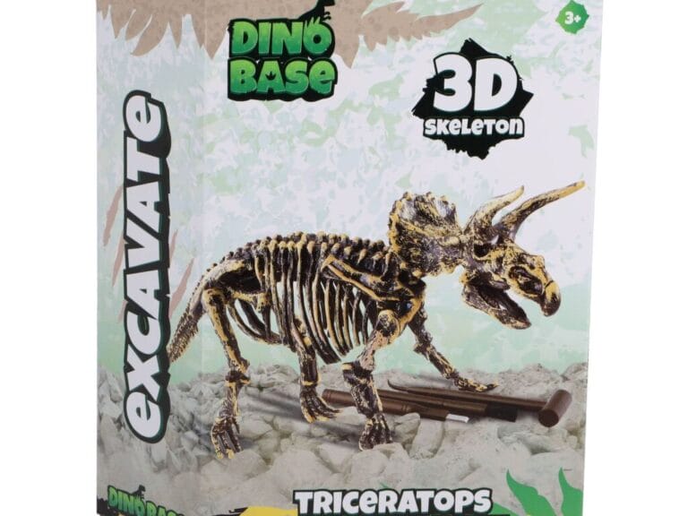 Dinobase Dino 3D Triceratops Skelet