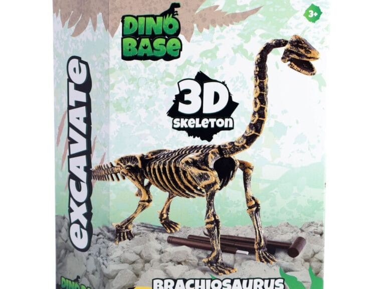 Dinobase Dino 3D Brachiosaurus Skelet