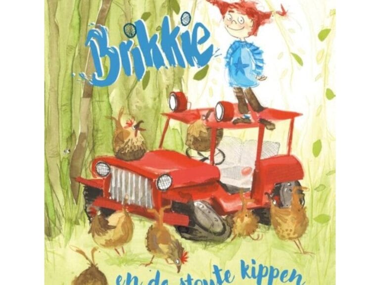 Boek Brikkie en de Stoute Kippen