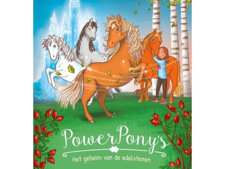 Boek Powerpony's Het Geheim dan de Edelstenen