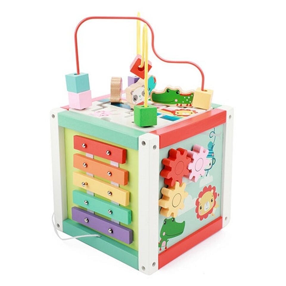 Fisher Price 5in1 Houten Activiteitenkubus