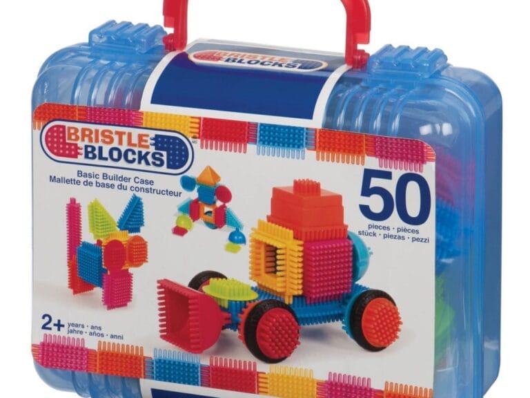 Bristle Blocks Koffer met 50 Stuks