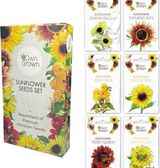 OwnGrown Zonnebloemenzaden set 6 verschillende soorten zonnebloemen Voor binnen