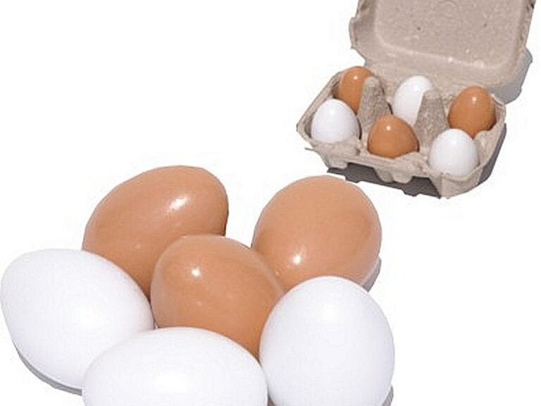 Simply for Kids Zes Eieren in een Doosje